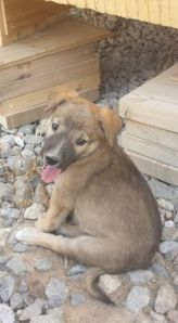 10525726_792300240809733_7055705360097277432_n