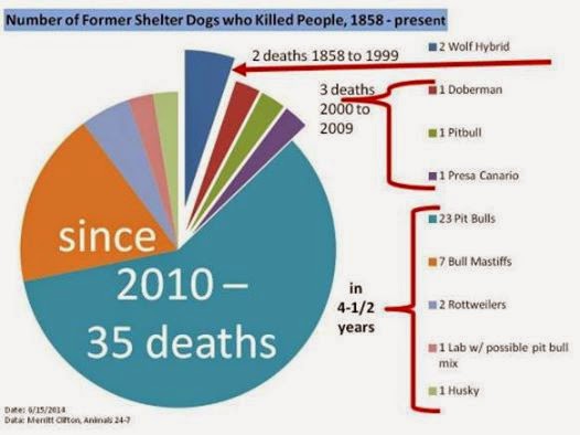 10458872_696549740382909_6618840719352132839_n